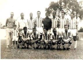 Formiga_anos_60